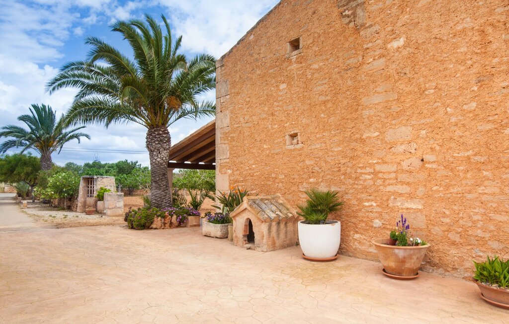 Location de vacances - Sa Punta Ses Salines, Ses Salines , Espagne - EMF863 14