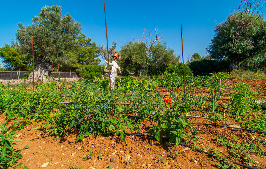 Kuća-za-odmor - Sa Finca, Arta , Španjolska - EMF876 18