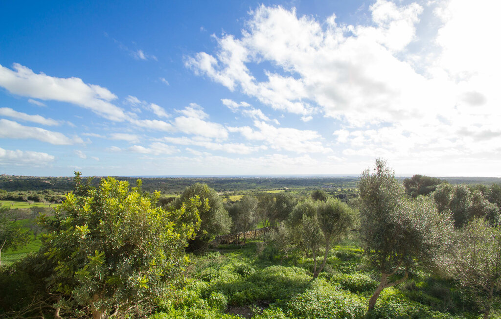 Ferieleilighet - Es Pujol Cas Amitger, Cala dOr , Spania - EMF889 18