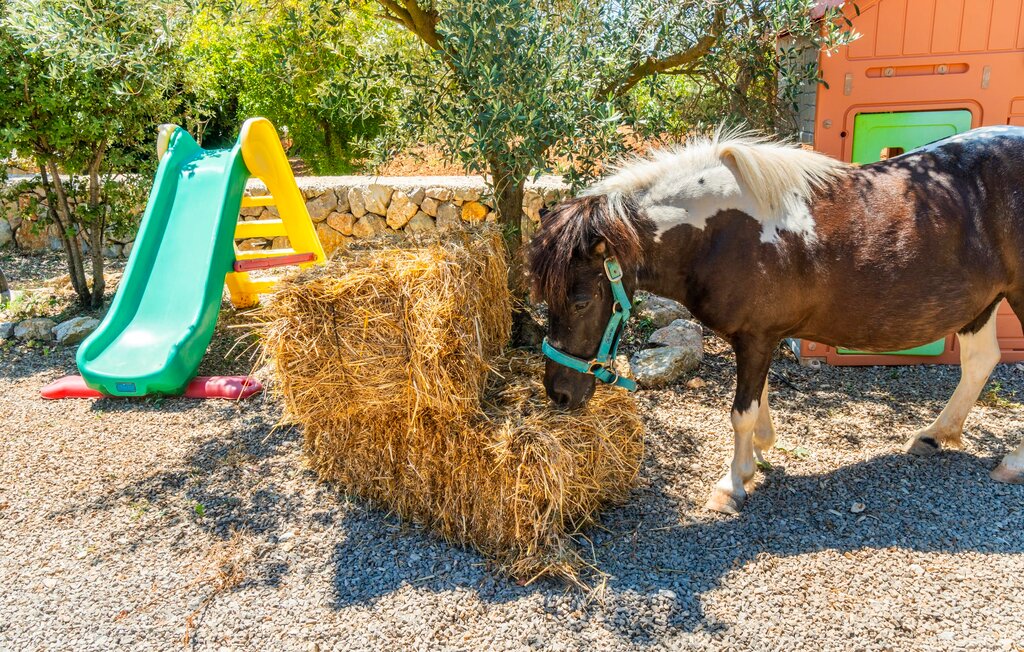 Ferienhaus - Ses Camesroges, Capdepera , Spanien - EMF950 8
