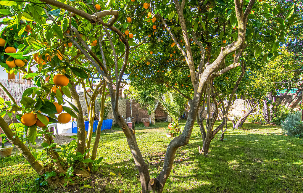 Ferienhaus - Ithaka, Arta , Spanien - EMF952 16