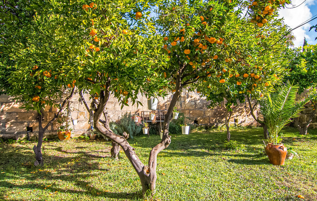 Ferienhaus - Ithaka, Arta , Spanien - EMF952 21