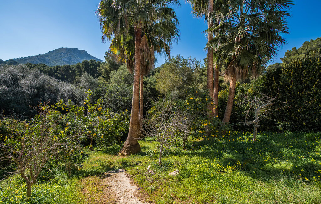 Location de vacances - Valerie de Sa Cala, Sa Font de Sa Cala , Espagne - EMF982 24