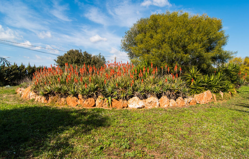 Kuća-za-odmor - Es Revolt de Sa Barrala, Ses Covetes , Španjolska - EMF980 23
