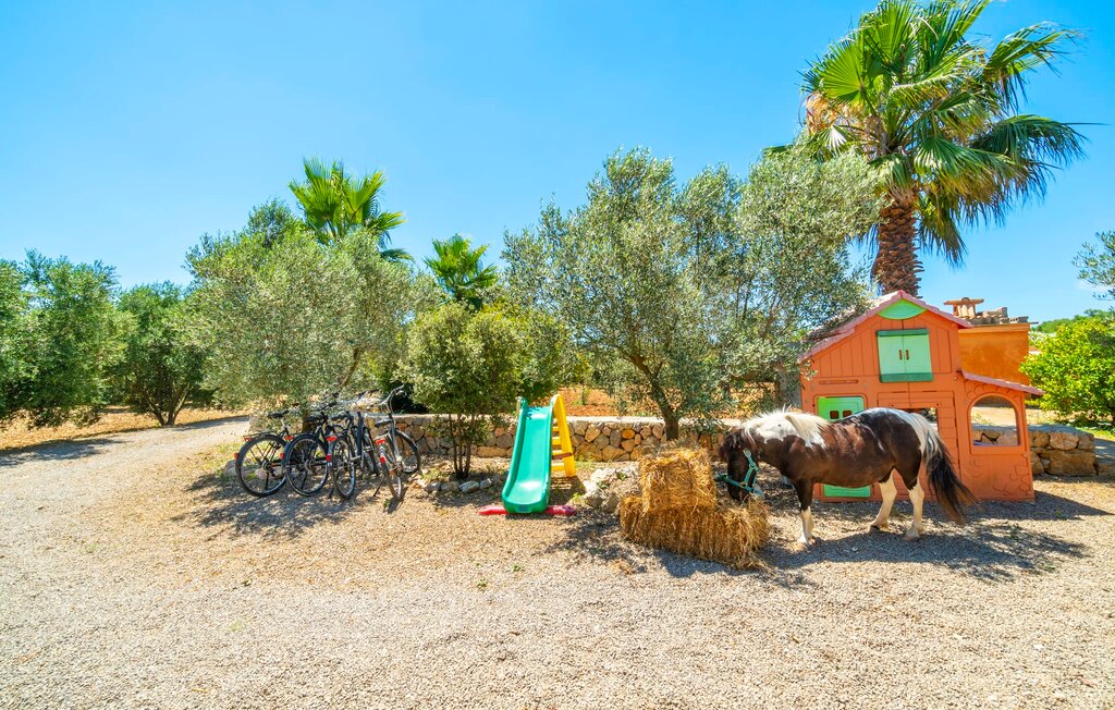 Ferienhaus - Ses Camesroges, Capdepera , Spanien - EMF950 9