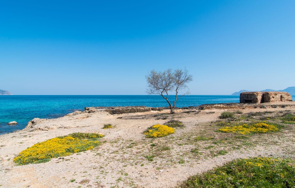 Ferienwohnung - Minimal, Can Picafort , Spanien - EMF995 25
