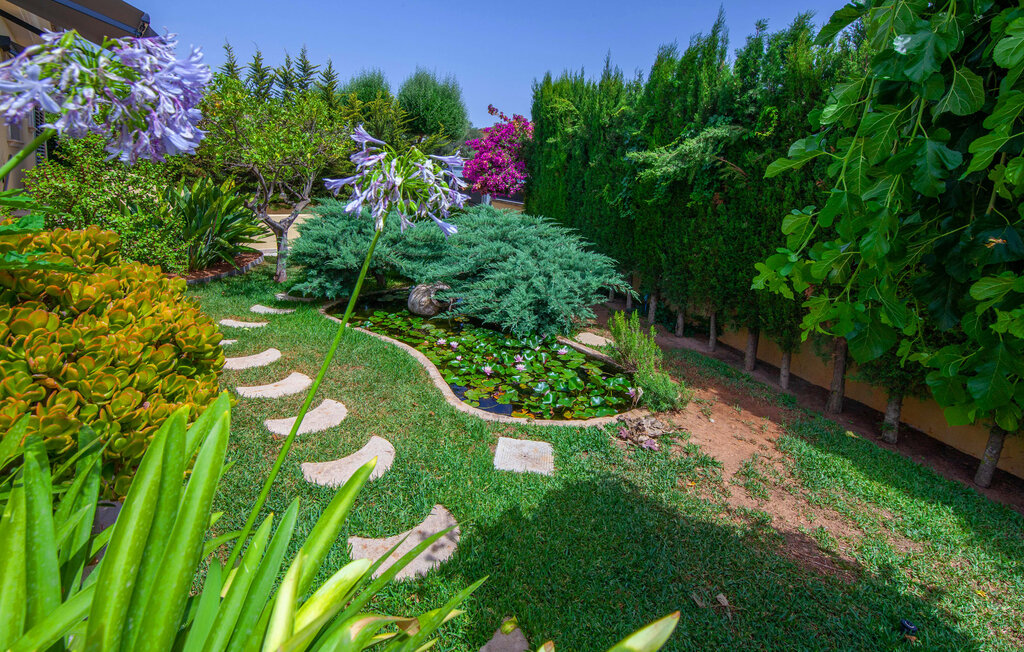 Domy wakacyjne - Bellviure Luxury Villa, Palma , Hiszpania - EMF997 18