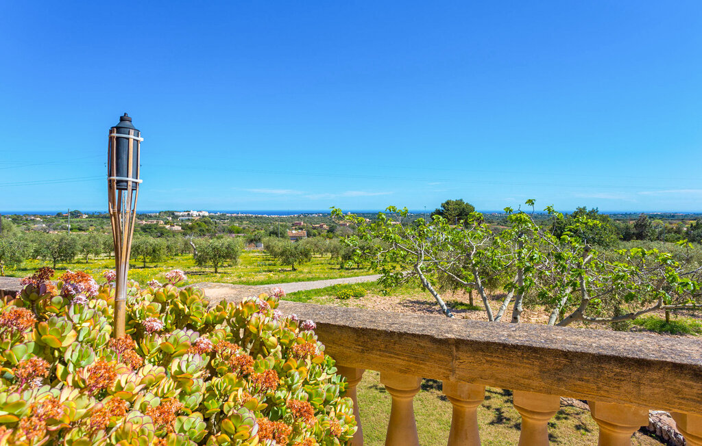 Feriehuse - Son Ropit, Porto Cristo , Spanien - EMF497 24