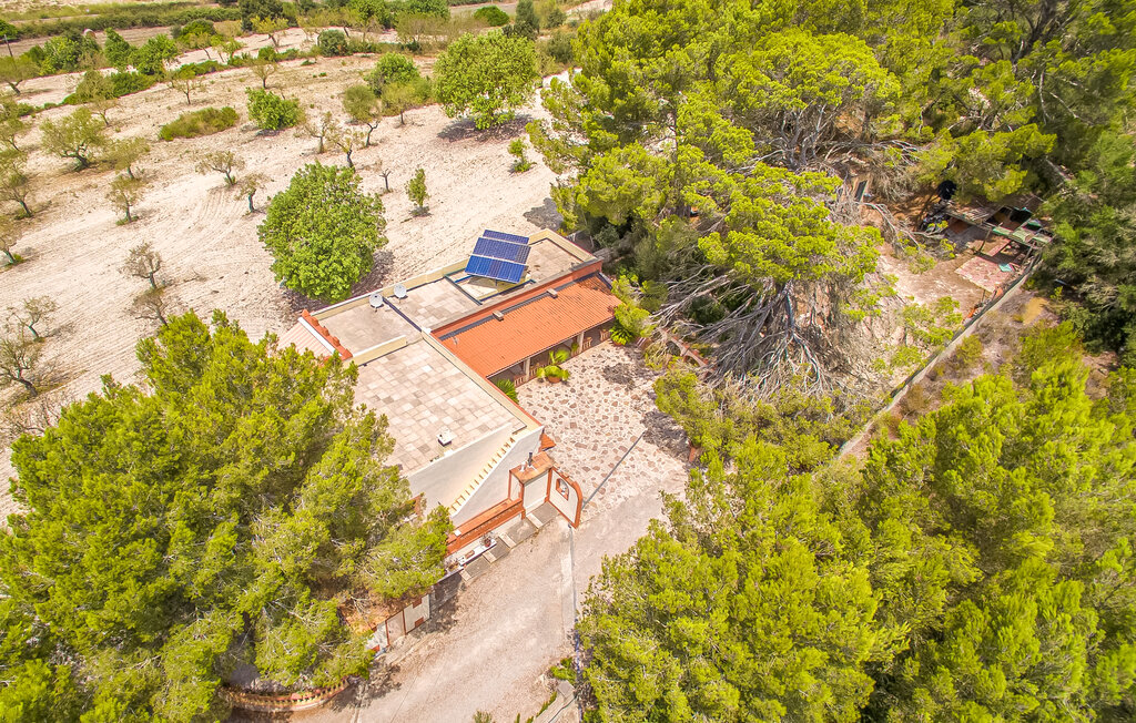 Location de vacances - Montana, Petra , Espagne - EMF725 14