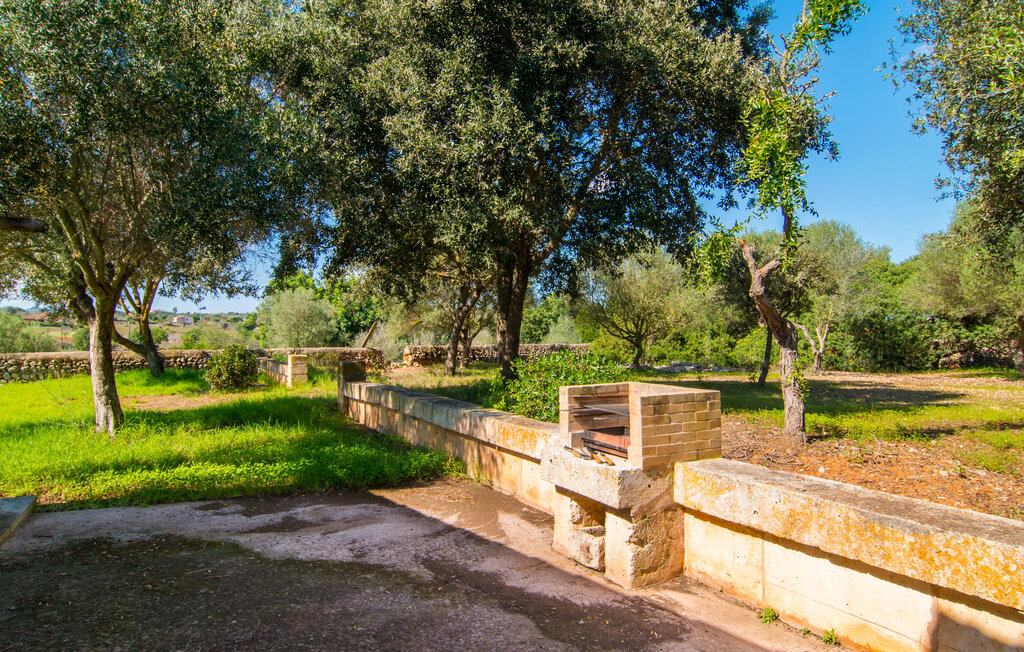 Feriehuse - Sa Carrotja Vella, Porto Cristo , Spanien - EMF778 16