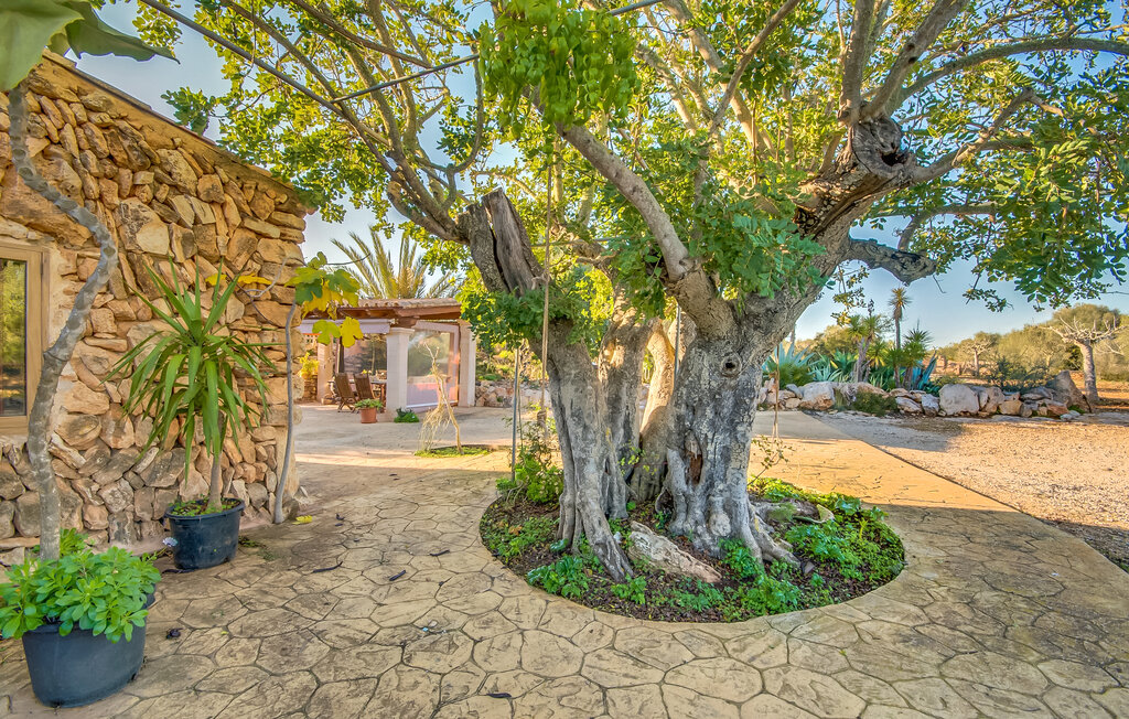 Ferienhaus - Can Gatito, Cala Mondrago , Spanien - EMF796 18