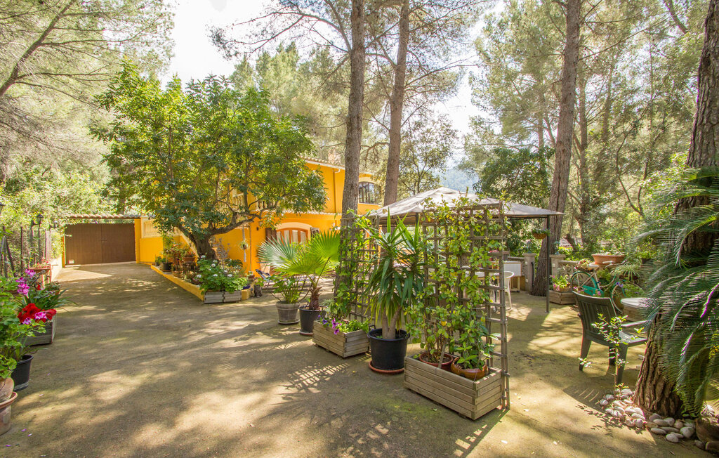 Ferienhaus - Port des Canonge Sard, Banyalbufar , Spanien - EMF872 23