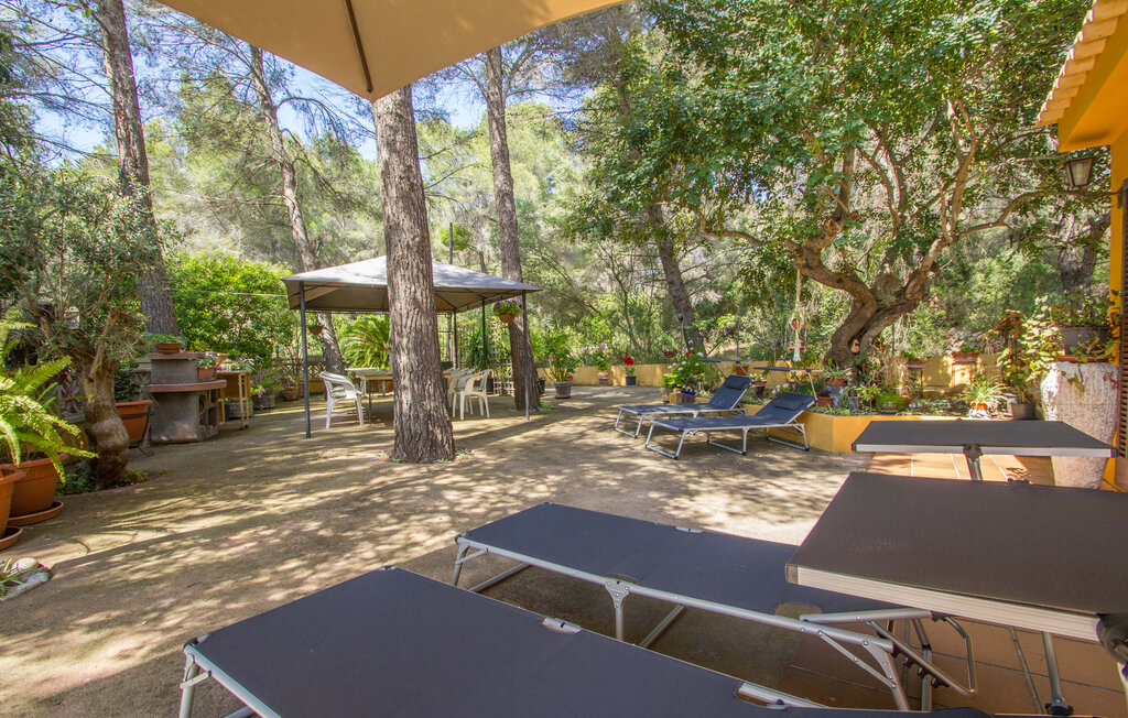 Ferienhaus - Port des Canonge Sard, Banyalbufar , Spanien - EMF872 24