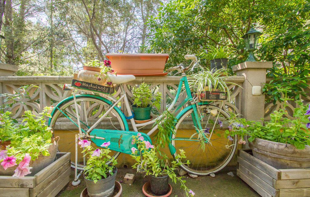 Ferienhaus - Port des Canonge Sard, Banyalbufar , Spanien - EMF872 25