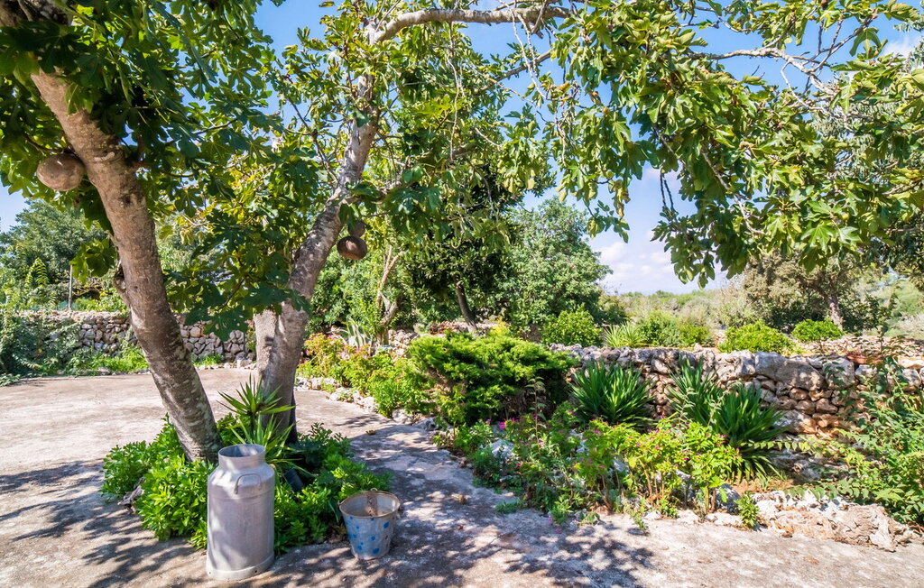 Feriehus - Es Campets, Sencelles , Spania - EMF124 23