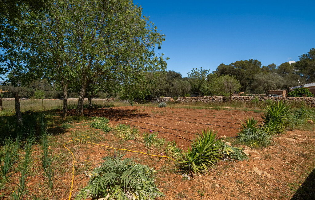 Feriehus - Es Campets, Sencelles , Spania - EMF124 25