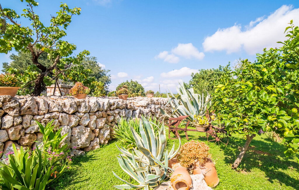 Feriehus - Es Campets, Sencelles , Spania - EMF124 26