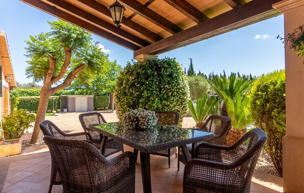 Feriehuse - Mil Flores, Inca , Spanien - EMF273 16