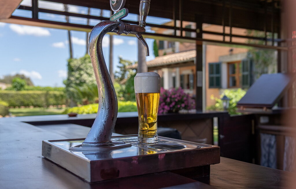 Feriehuse - Mil Flores, Inca , Spanien - EMF273 20