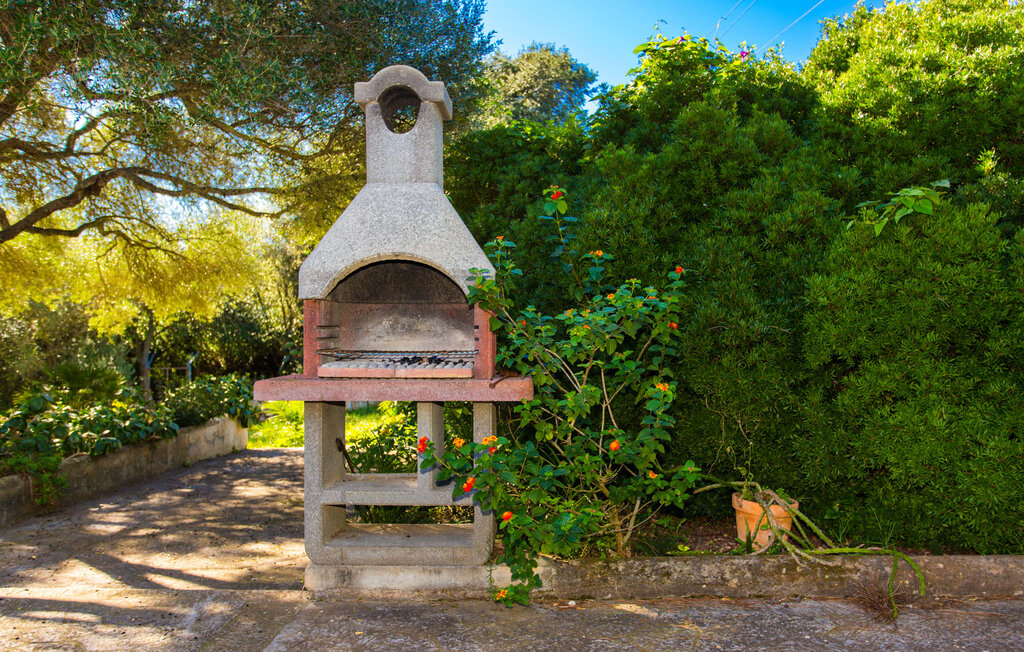 Feriehuse - Cas Boter, Arta , Spanien - EMF419 19