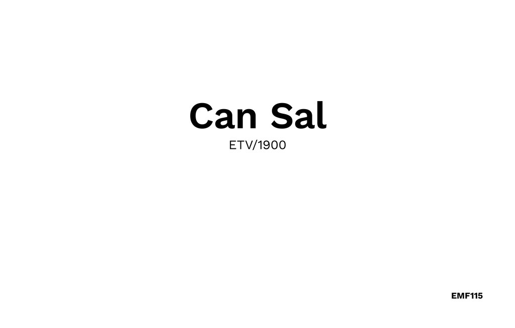 Feriehuse - Can Sal, Ariany , Spanien - EMF115 41