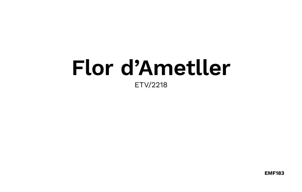 Ferienhaus - Flor, Colonia de Sant Pere , Spanien - EMF183 29