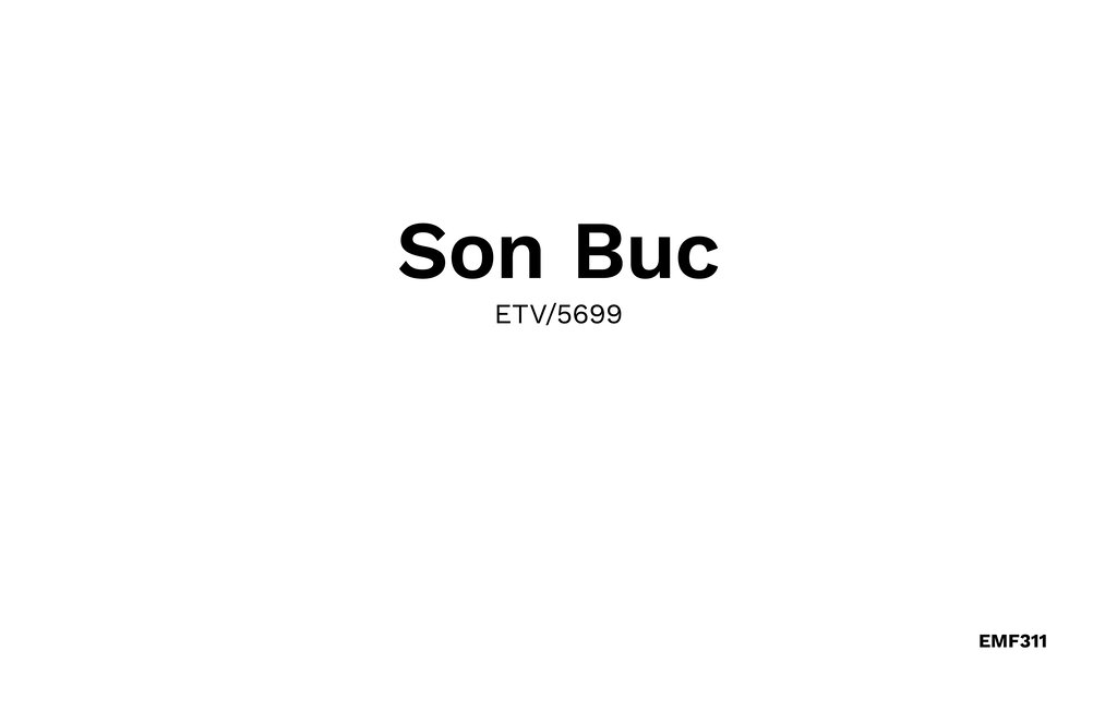 Feriehuse - Son Buc, Arta , Spanien - EMF311 36