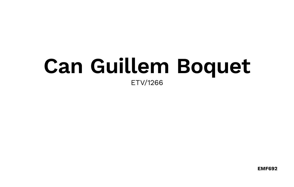 Feriehuse - Can Guillem Boquet, Porto Cristo , Spanien - EMF692 51