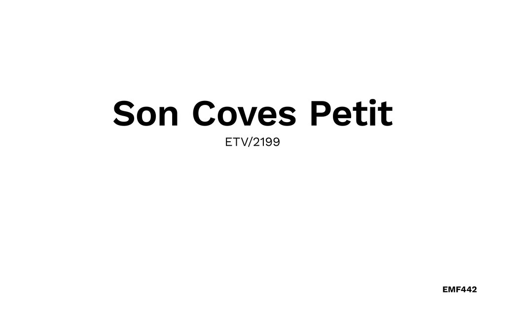 Semesterhus - Son Coves Petit, Ses Salines , Spanien - EMF442 36