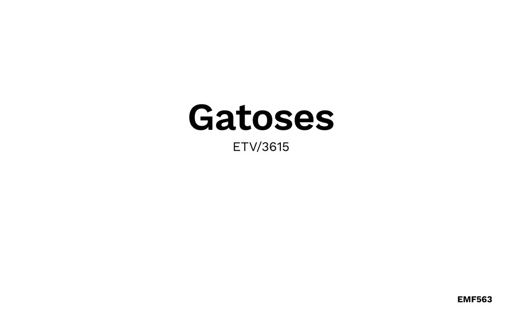 Ferienhaus - Gatoses, Sa Coma , Spanien - EMF563 51