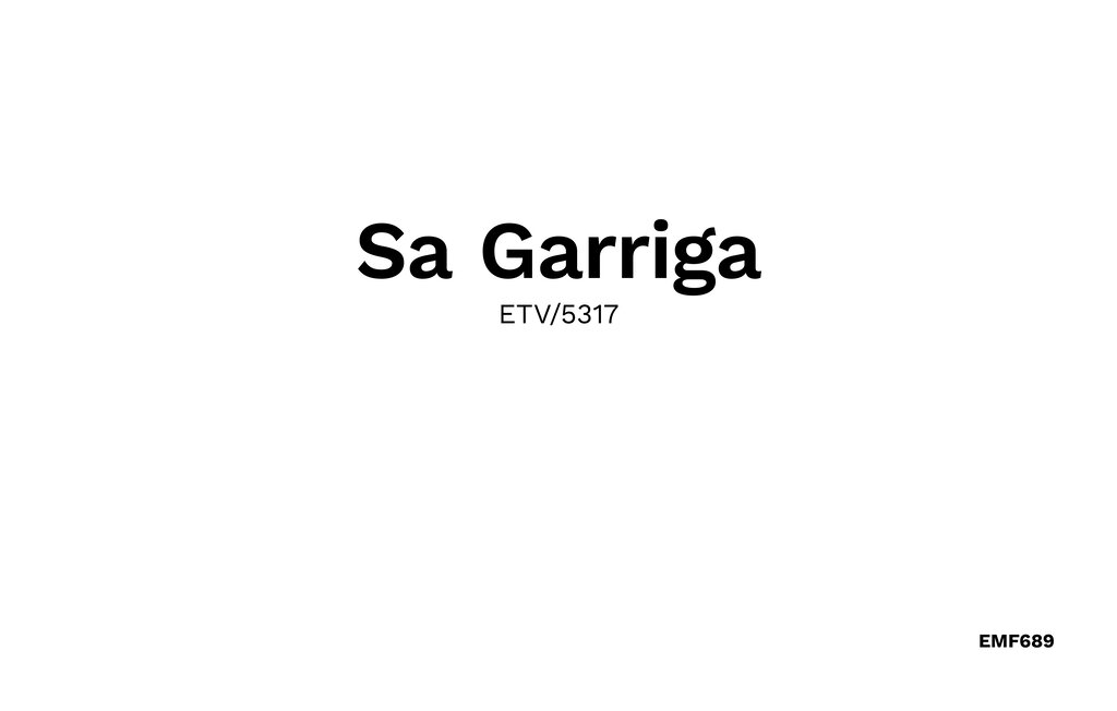 Feriehuse - Sa Garrigueta, Inca , Spanien - EMF689 46