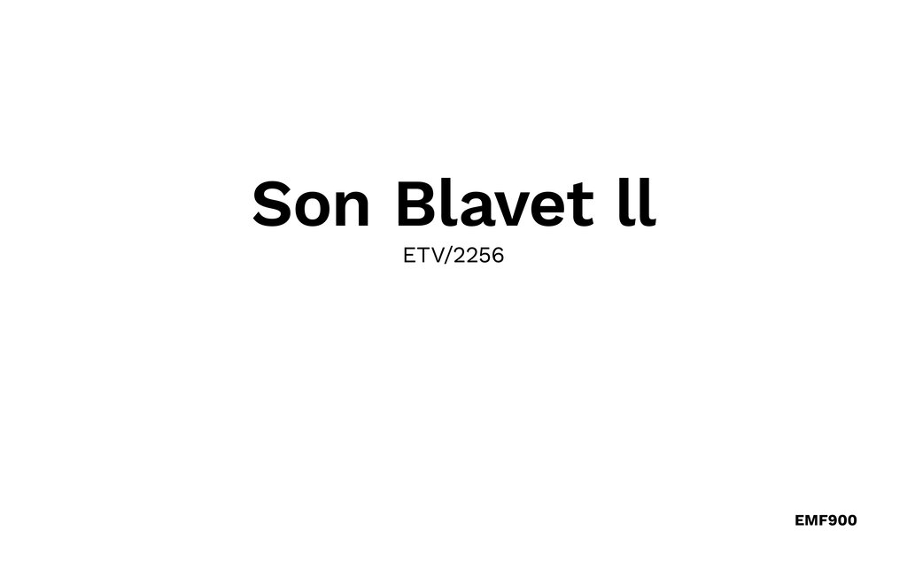 Ferienhaeuser - Son Blavet Dos, Porto Cristo , Spanien - EMF900 46