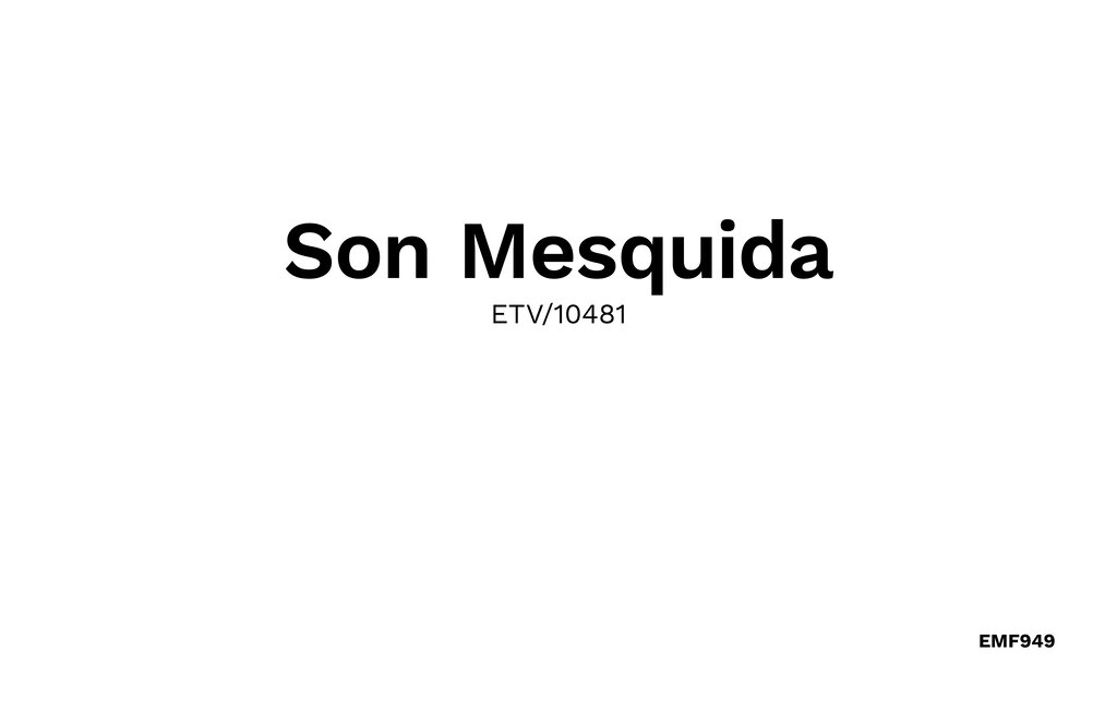 Feriehuse - Son Mesquida de Inca, Inca , Spanien - EMF949 56