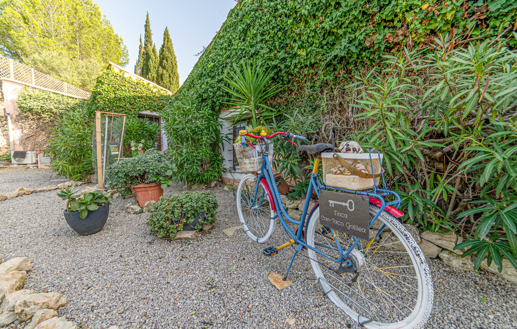 Ferienhaus - Can Taco, Galilea , Spanien - EMF779 25