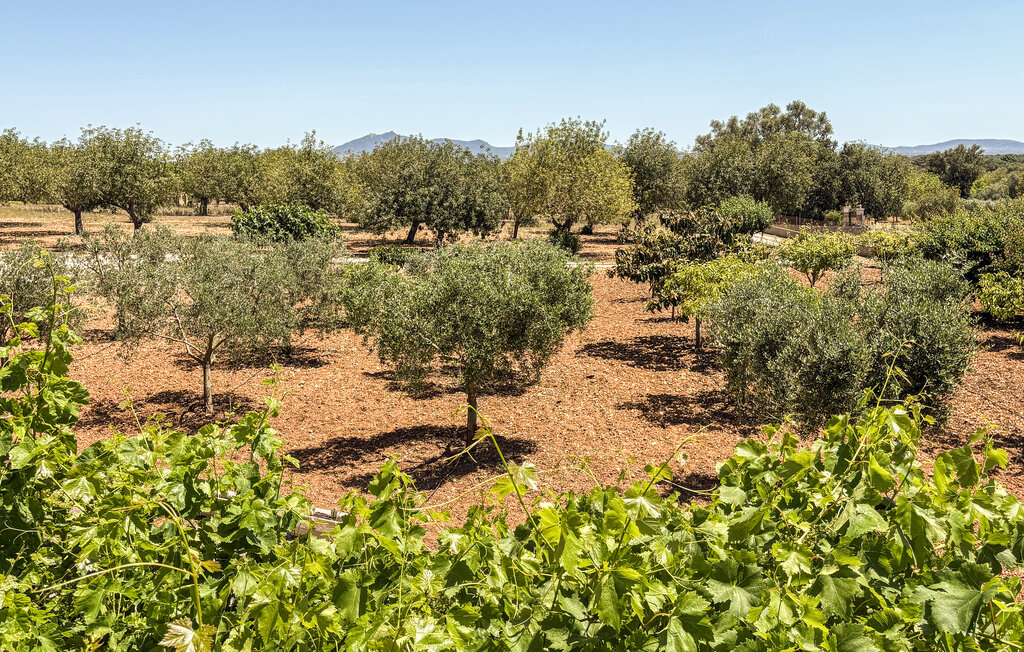 Feriehuse - Son Coix Nou, Porreres , Spanien - EMF979 25