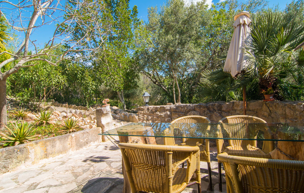 Apartment - Son Torrat Es Forn, Petra , Spain - EMI011 7