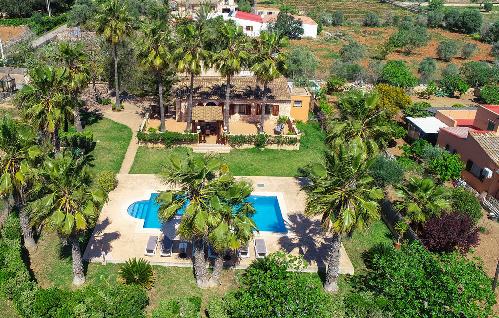 Kuća-za-odmor - Las Palmeras de Porto Cristo, Porto Cristo , Španjolska - EMI015 17