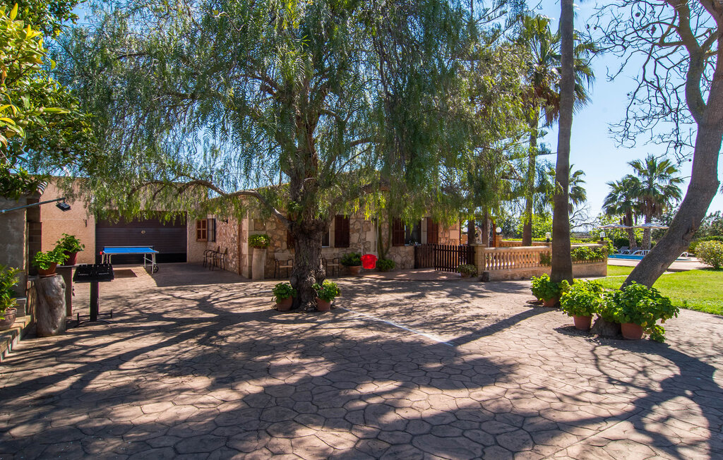 Kuća-za-odmor - Las Palmeras de Porto Cristo, Porto Cristo , Španjolska - EMI015 25