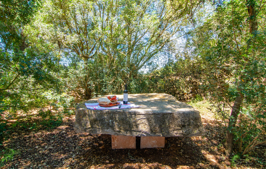 Feriehuse - Son Julia, Porreres , Spanien - EMI040 24