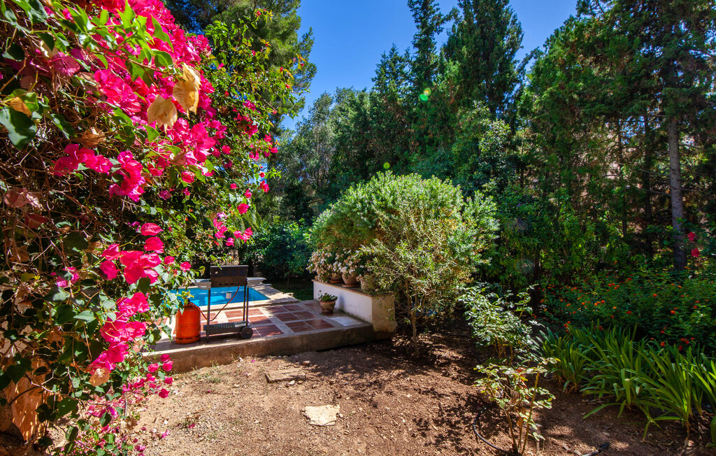 Location de vacances - Calas, Canyamel , Espagne - EMI158 12