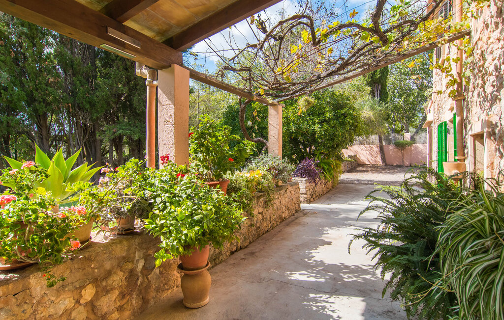 Location de vacances - Can Ferrer Pollensa, Pollenca , Espagne - EMI171 20