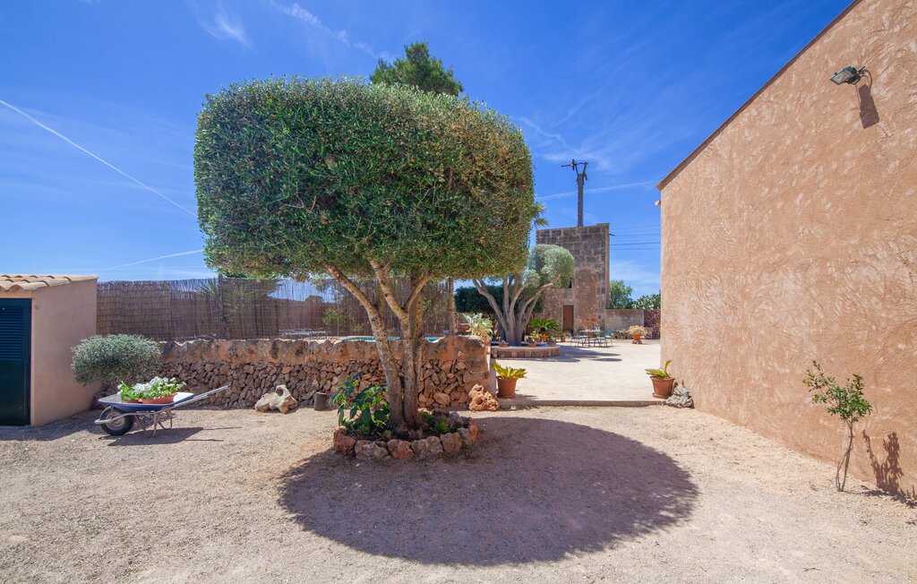 Feriehuse - Es Mateus, Campos , Spanien - EMI189 18