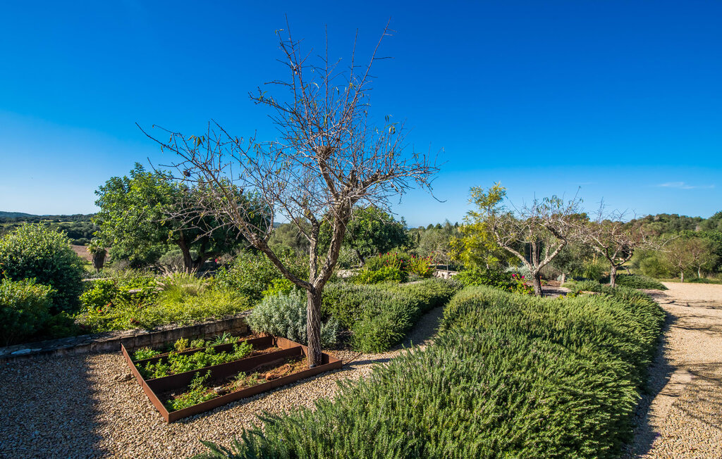 Domy wakacyjne - Son Net, Petra , Hiszpania - EMI188 28