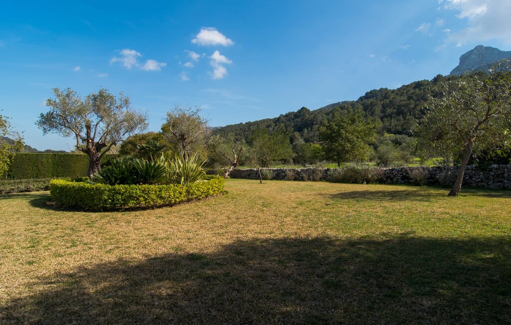 Location de vacances - Can Peric, Pollenca , Espagne - EMI206 27