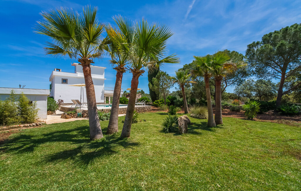 Feriehuse - Cel i Sol, Llubi , Spanien - EMI221 26