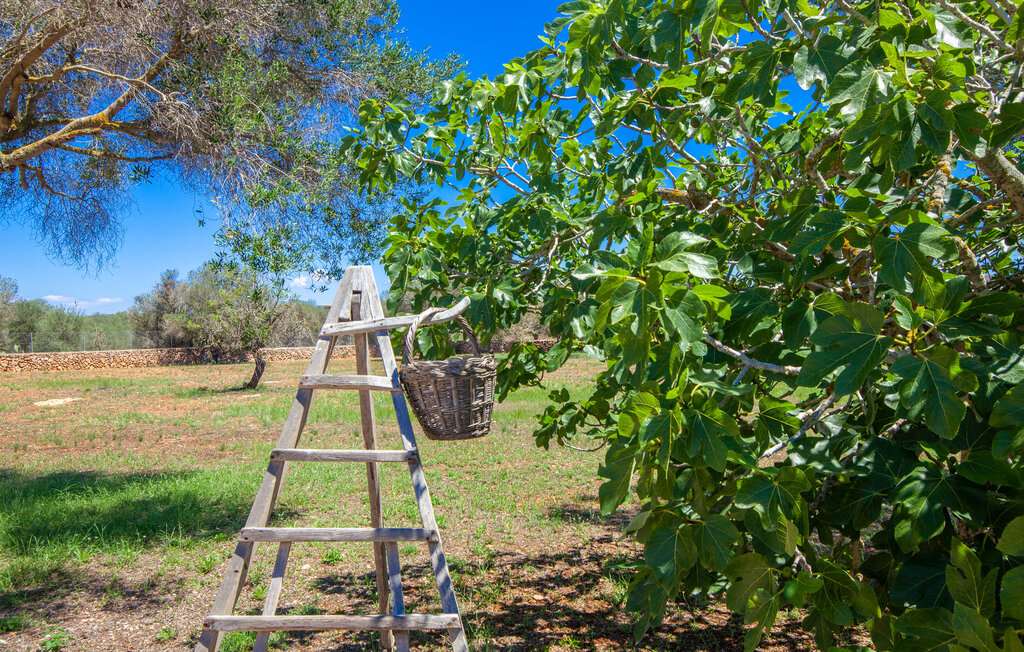 Feriehuse - Casa Andrea, Cala Santanyi , Spanien - EMI238 25