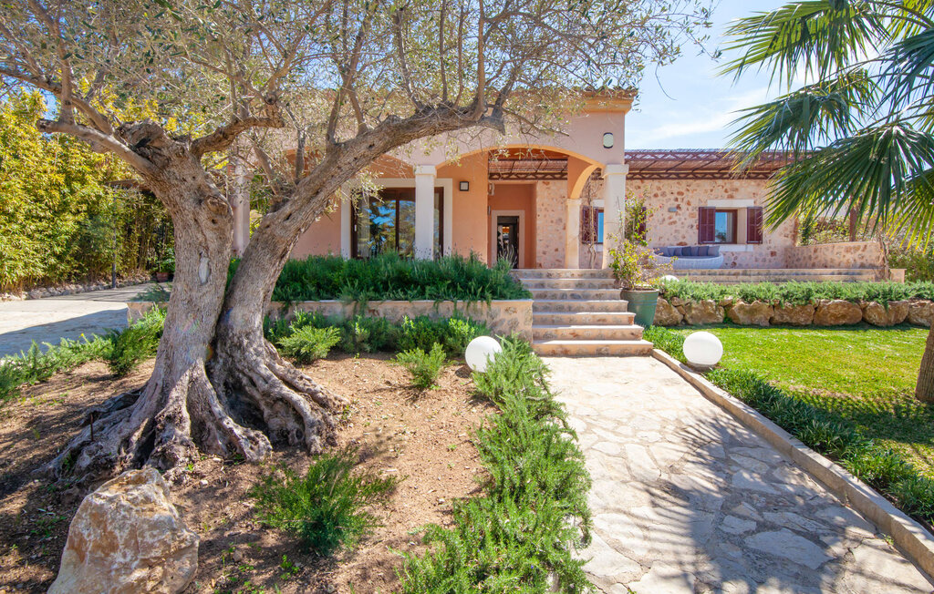 Feriehuse - Elvissa, Alcudia , Spanien - EMI209 11