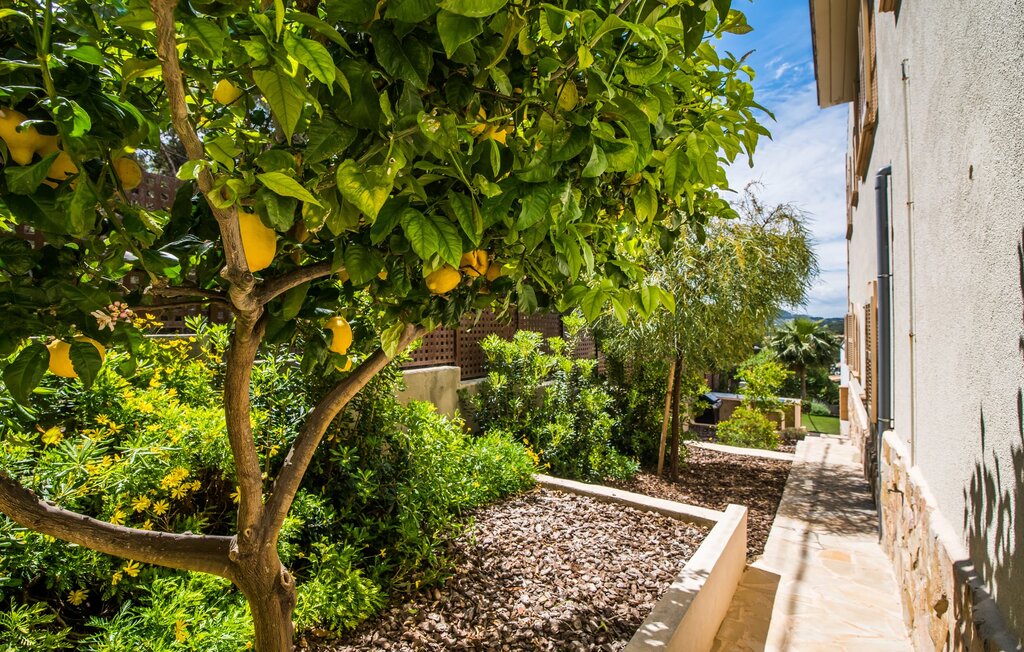 Feriehuse - Xapala, Cala Ratjada , Spanien - EMI216 23