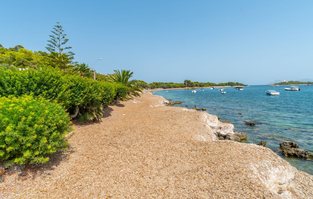 Domy wakacyjne - Bell Punt, Alcudia , Hiszpania - EMI257 48