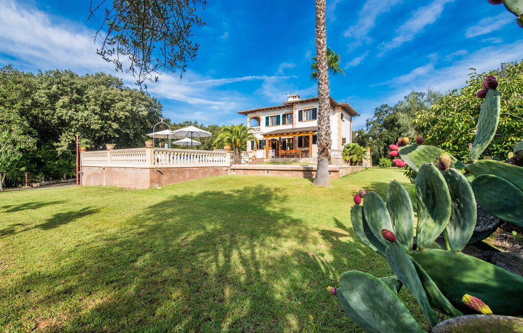 Ferienhaus - Sa Font d'Alt, Arta , Spanien - EMI266 4